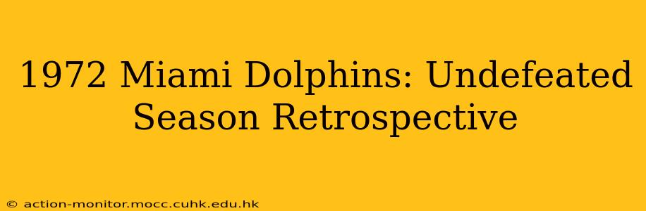 1972 Miami Dolphins: Undefeated Season Retrospective