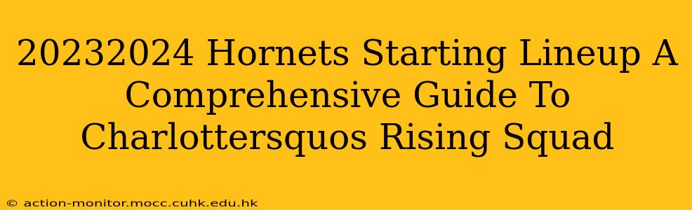 20232024 Hornets Starting Lineup A Comprehensive Guide To Charlottersquos Rising Squad