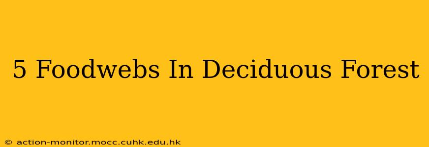 5 Foodwebs In Deciduous Forest