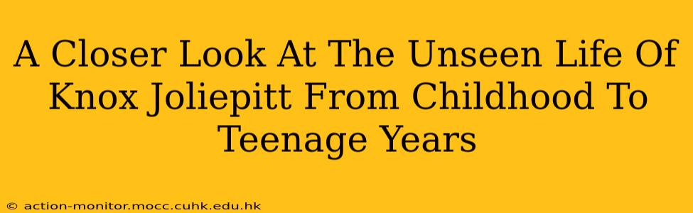 A Closer Look At The Unseen Life Of Knox Joliepitt From Childhood To Teenage Years
