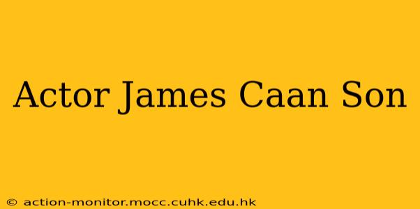 Actor James Caan Son