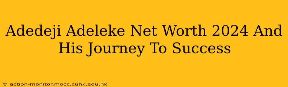 Adedeji Adeleke Net Worth 2024 And His Journey To Success