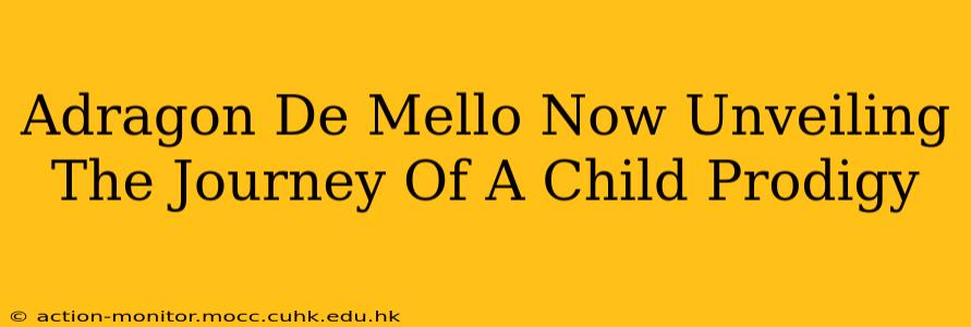 Adragon De Mello Now Unveiling The Journey Of A Child Prodigy