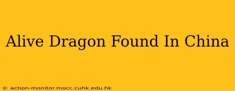 Alive Dragon Found In China