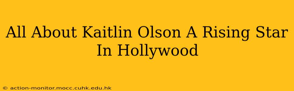 All About Kaitlin Olson A Rising Star In Hollywood