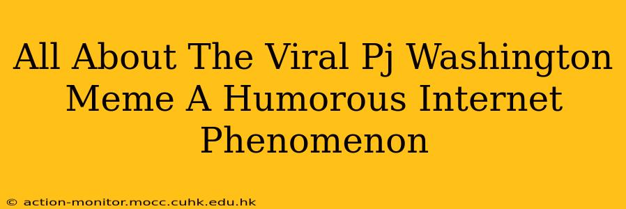 All About The Viral Pj Washington Meme A Humorous Internet Phenomenon