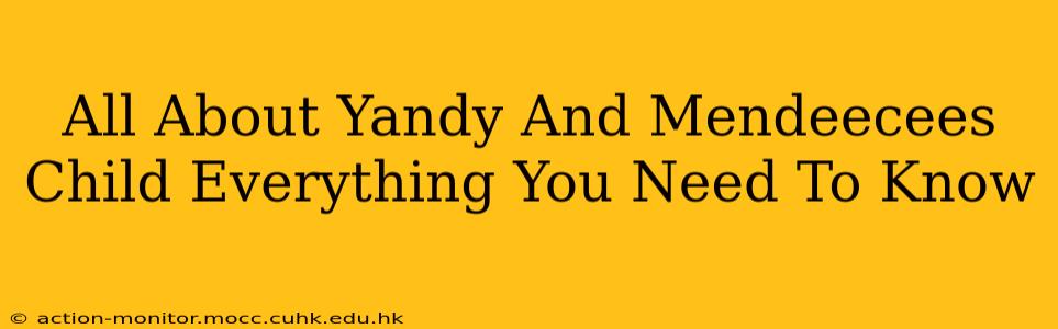All About Yandy And Mendeecees Child Everything You Need To Know