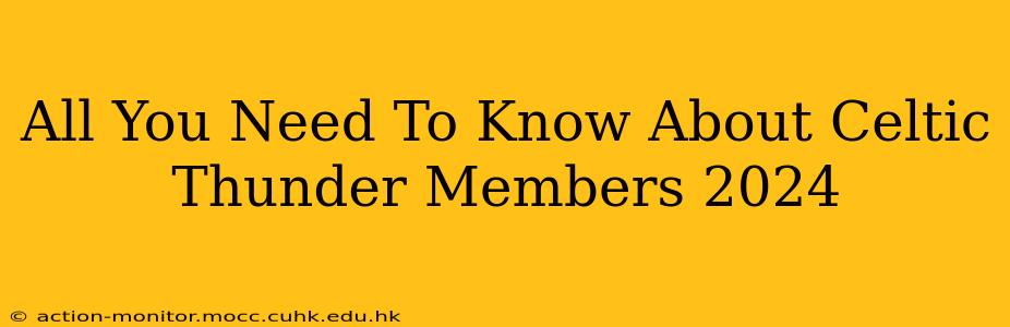 All You Need To Know About Celtic Thunder Members 2024