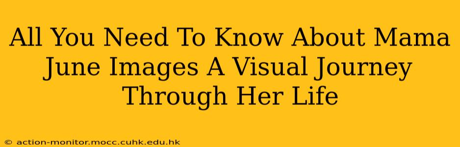 All You Need To Know About Mama June Images A Visual Journey Through Her Life