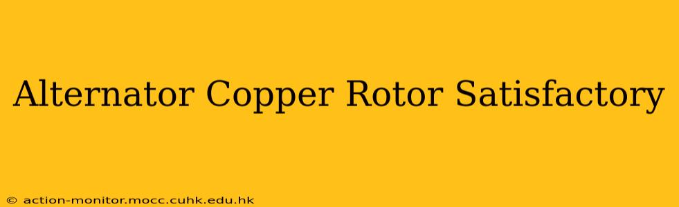 Alternator Copper Rotor Satisfactory