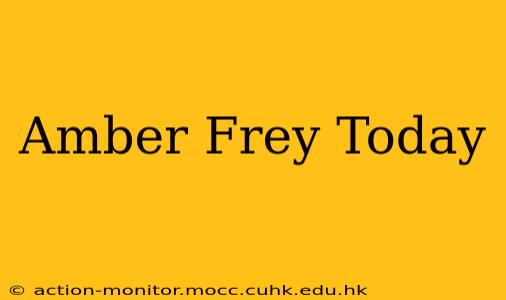 Amber Frey Today