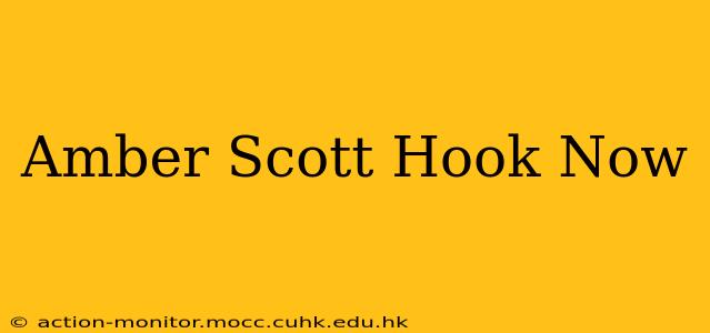 Amber Scott Hook Now