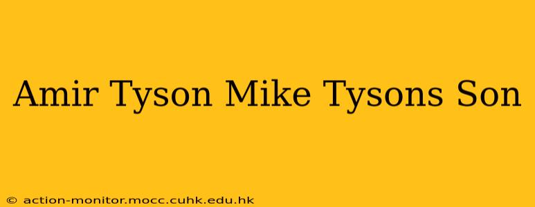 Amir Tyson Mike Tysons Son