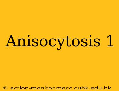 Anisocytosis 1