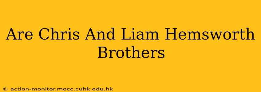 Are Chris And Liam Hemsworth Brothers