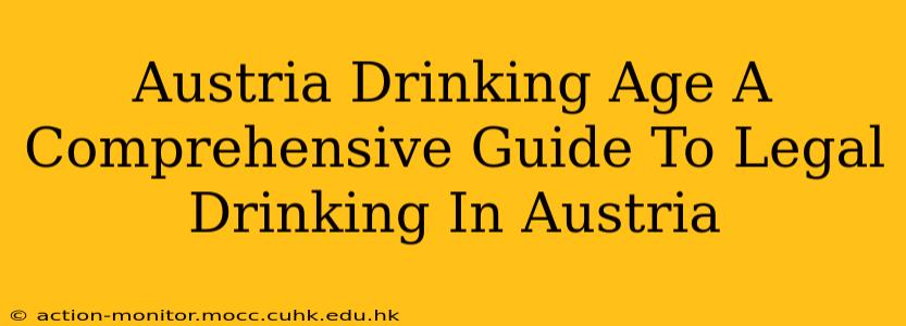 Austria Drinking Age A Comprehensive Guide To Legal Drinking In Austria