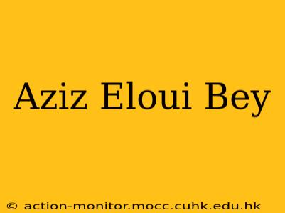 Aziz Eloui Bey