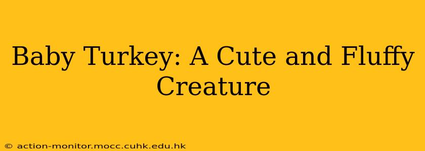 Baby Turkey: A Cute and Fluffy Creature