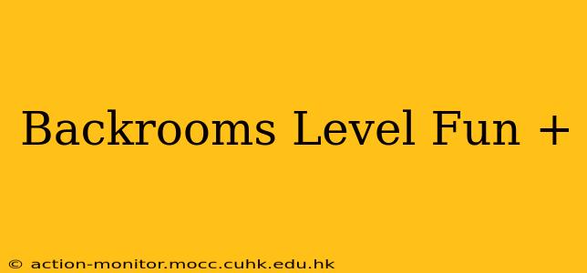 Backrooms Level Fun +