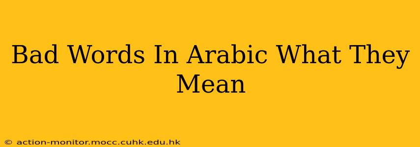 Bad Words In Arabic What They Mean