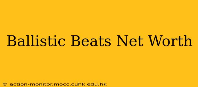 Ballistic Beats Net Worth