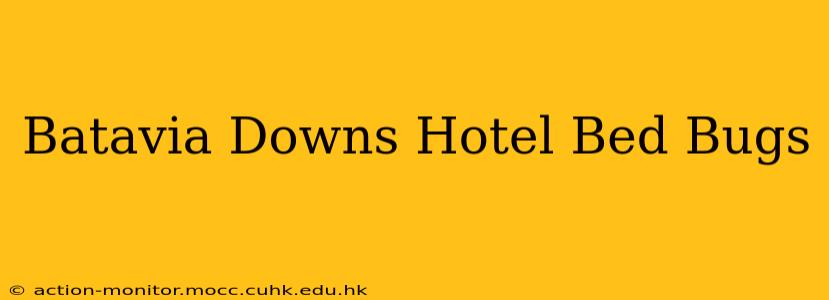 Batavia Downs Hotel Bed Bugs