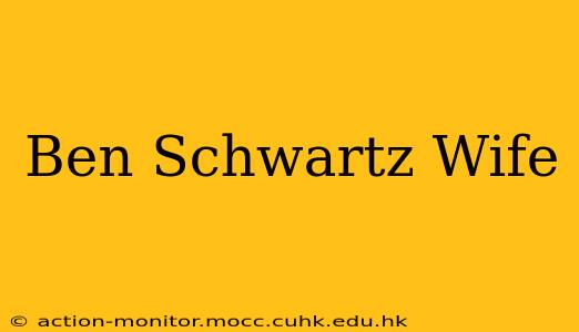 Ben Schwartz Wife