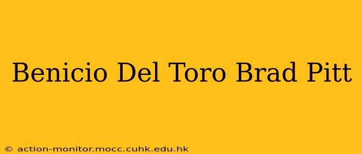 Benicio Del Toro Brad Pitt