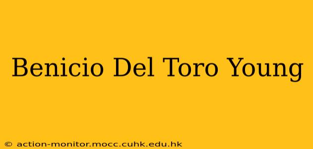 Benicio Del Toro Young