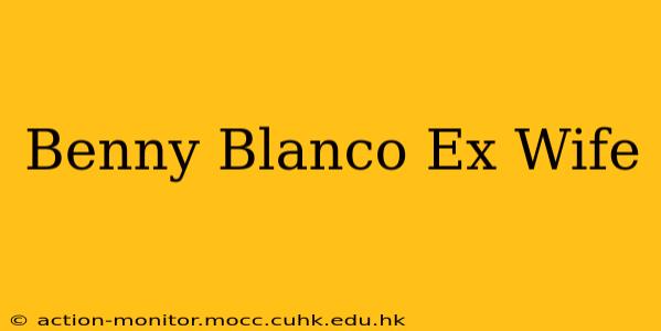 Benny Blanco Ex Wife