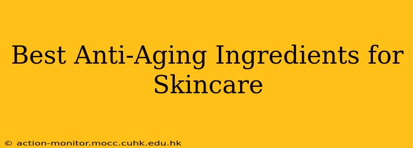 Best Anti-Aging Ingredients for Skincare
