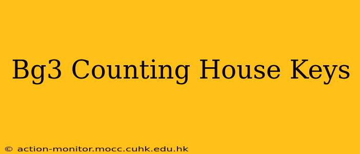 Bg3 Counting House Keys