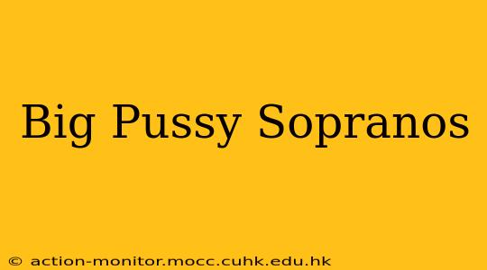 Big Pussy Sopranos