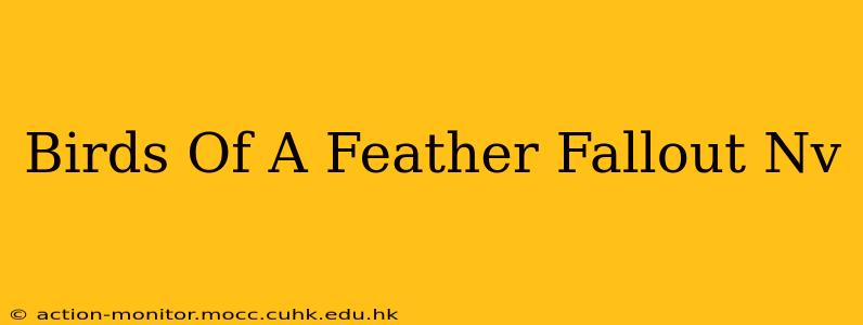Birds Of A Feather Fallout Nv