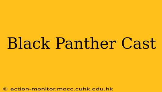 Black Panther Cast