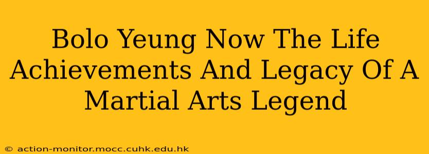 Bolo Yeung Now The Life Achievements And Legacy Of A Martial Arts Legend