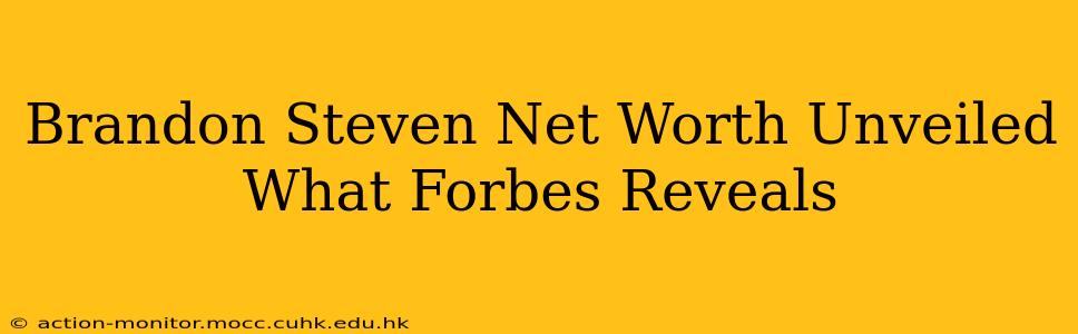 Brandon Steven Net Worth Unveiled What Forbes Reveals