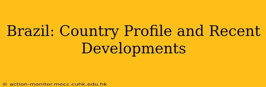 Brazil: Country Profile and Recent Developments