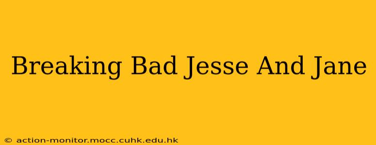 Breaking Bad Jesse And Jane
