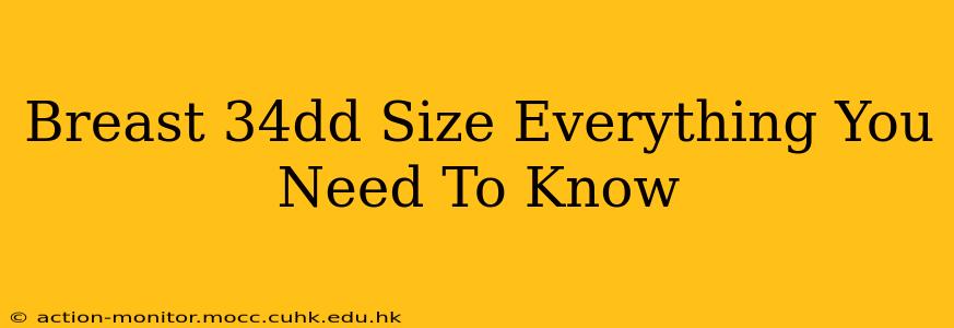 Breast 34dd Size Everything You Need To Know