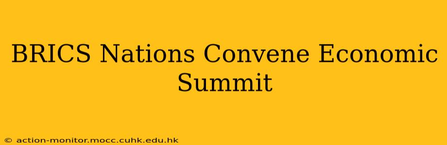 BRICS Nations Convene Economic Summit