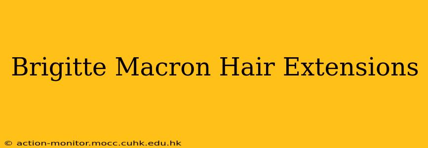 Brigitte Macron Hair Extensions