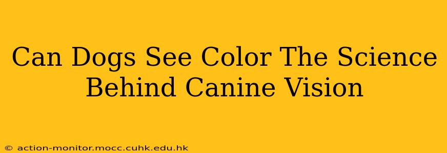 Can Dogs See Color The Science Behind Canine Vision