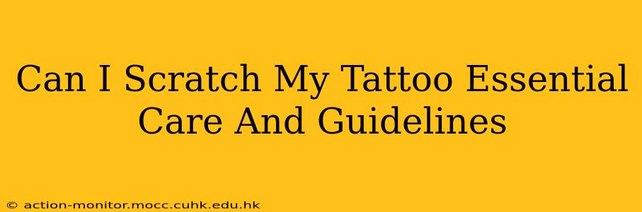 Can I Scratch My Tattoo Essential Care And Guidelines