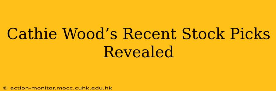 Cathie Wood’s Recent Stock Picks Revealed