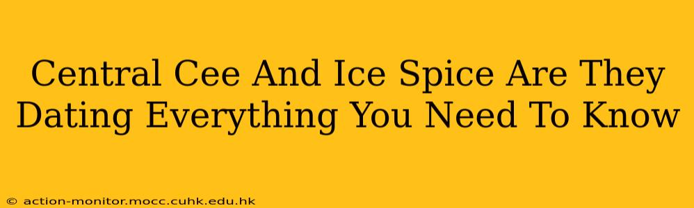 Central Cee And Ice Spice Are They Dating Everything You Need To Know