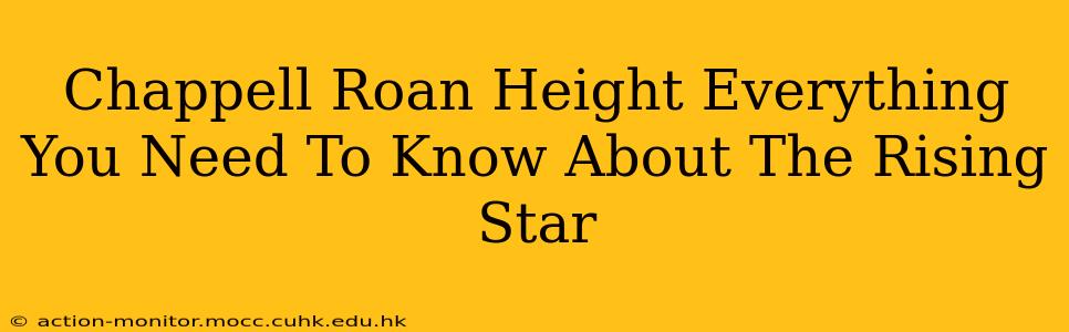 Chappell Roan Height Everything You Need To Know About The Rising Star