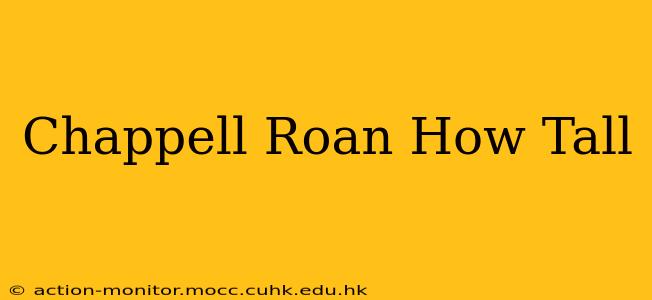Chappell Roan How Tall