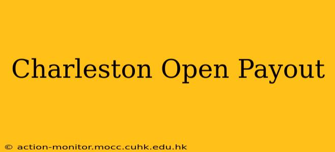 Charleston Open Payout