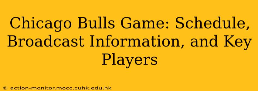 Chicago Bulls Game: Schedule, Broadcast Information, and Key Players